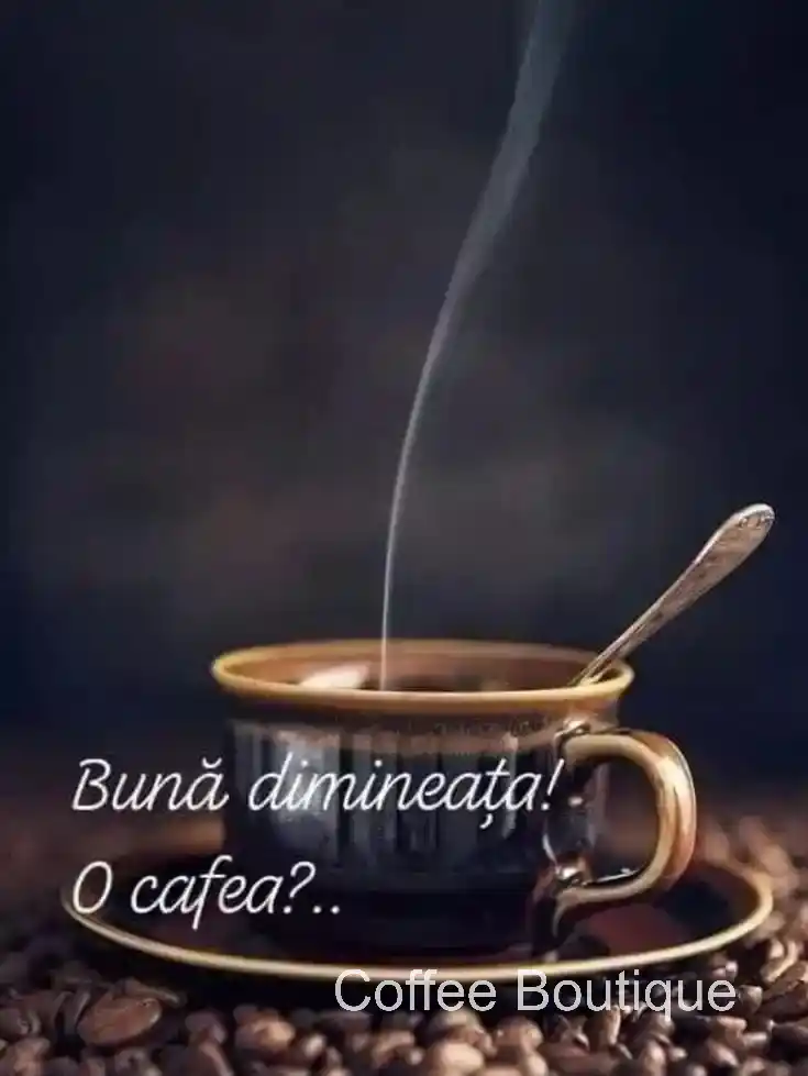 Coffee Boutique Gallery