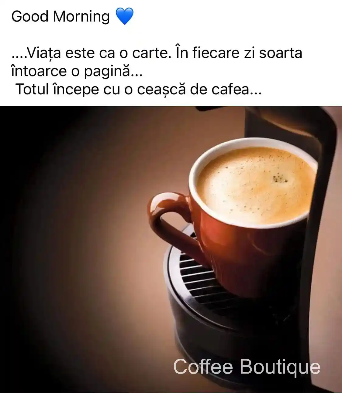 Coffee Boutique Gallery