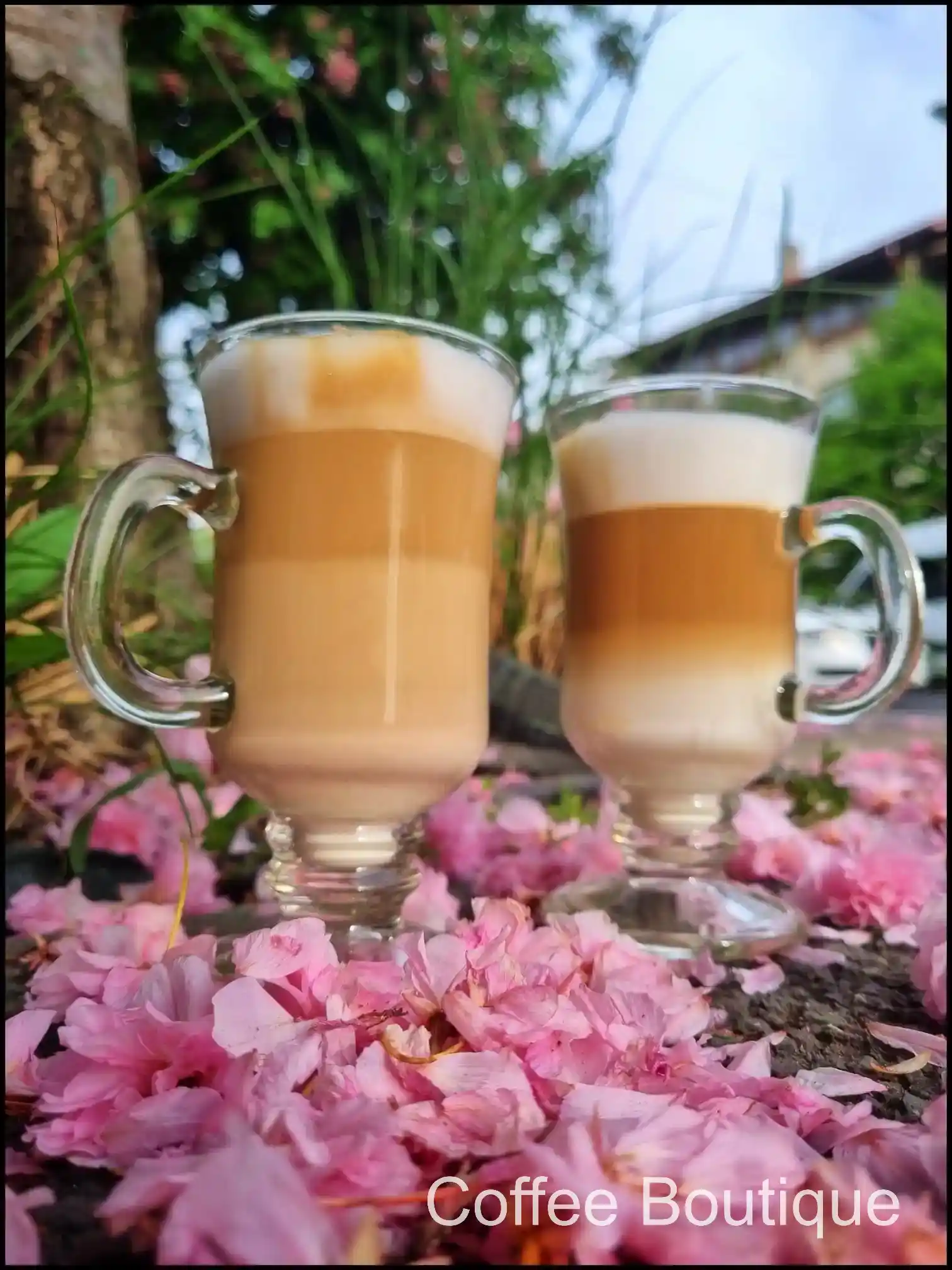 Coffee Boutique Gallery