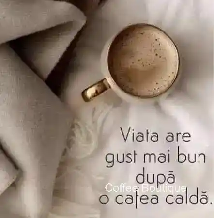 Coffee Boutique Gallery