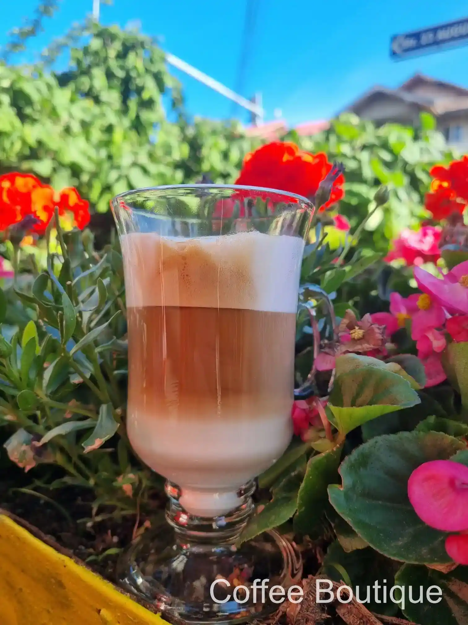 Coffee Boutique Gallery