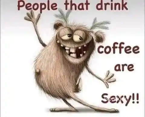 Coffee Boutique Gallery