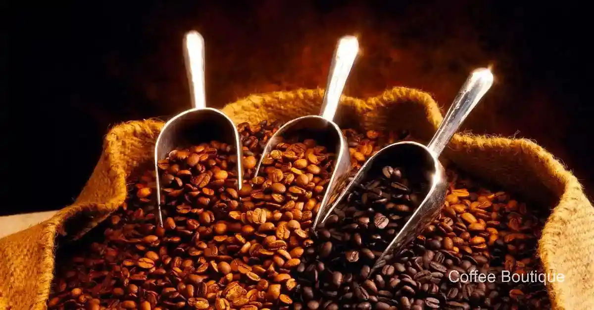 Coffee Boutique Gallery